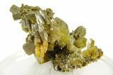 Lustrous Forest-Green Pyromorphite Crystal Cluster - China #242856-2